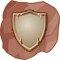Stone Shield